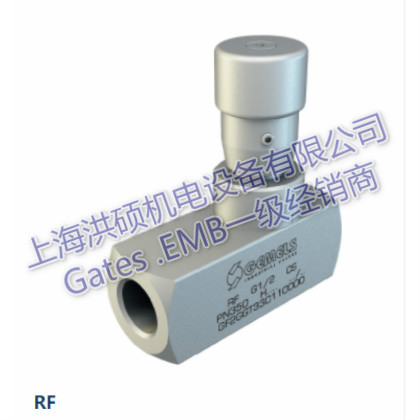 RF球閥意大利原裝進(jìn)口GEMELS蓋姆斯